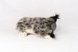 Hansa Lynx Laying