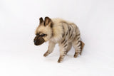 Hansa Striped Hyena