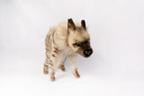 Hansa Striped Hyena