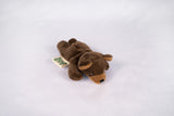 Wild Beans Bear