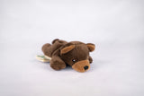 Wild Beans Bear