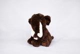 Re-PET S Mammoth