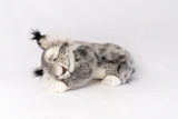 Hansa Lynx Laying