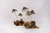 Wood Mushroom x5