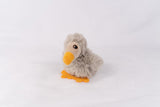 Wild Beans Dodo