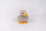 Wild Beans Dodo
