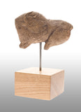 Bison Sculpture