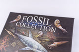 fossil collection
