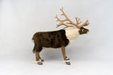Hansa Reindeer