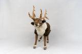 Hansa Reindeer