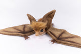 Hansa Hanging Bat