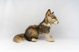 Hansa Grey Wolf Cub Sitting