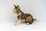 Hansa Grey Wolf Cub Sitting