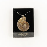 Ammonite pendant