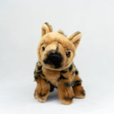 Plan M Hyena
