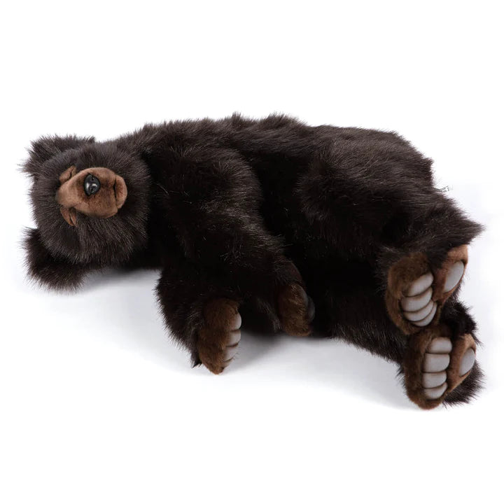 Brown Bear Sleeping Crags Shop