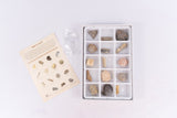 fossil collection