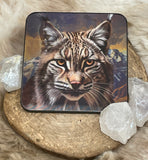 3D Coaster