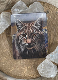 3D Magnet