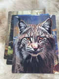 3D Postcard