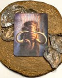 3D Magnet