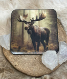 3D Coaster