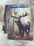 3D Postcard