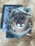 3D Postcard