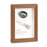 Framed Fossils