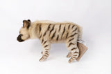 Striped Hyena Hansa