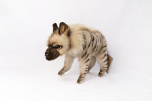 Striped Hyena Hansa