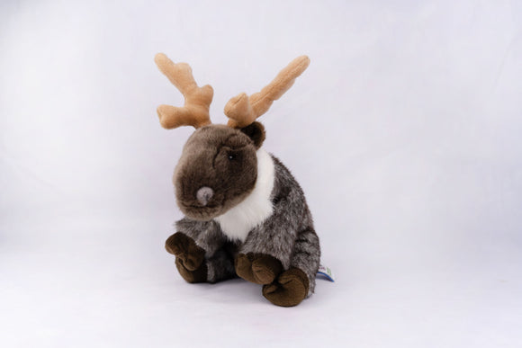Plan M Reindeer