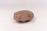 Mousterian Scraping Tool -