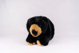 Plan M Black Bear 03341