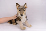 Hansa Grey Wolf Cub Sitting