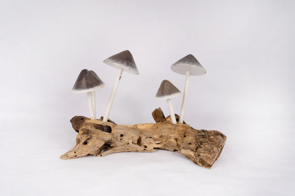Wood Mushroom x5