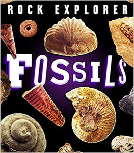 Rock Explorer Fossils