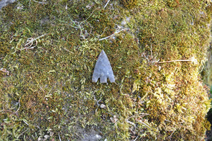 Barbed and Tang Arrowhead