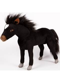 Hansa Black Stallion