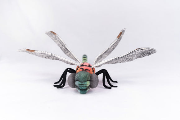 Dragonfly Hansa