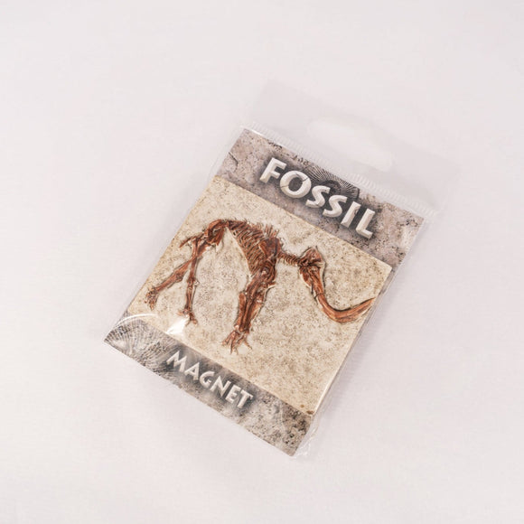 Mammoth Fossil Magnet