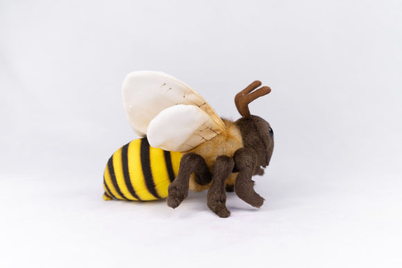Honeybee Hansa